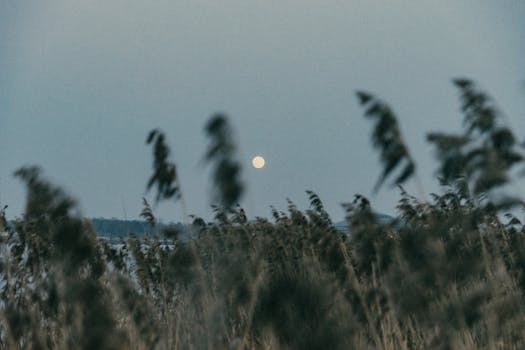 Jak komunismus přetvořil československé zemědělství: Přehled změn