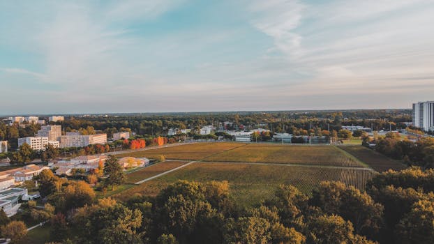 Vliv komunismu na České divadlo: Od cenzury po odpor